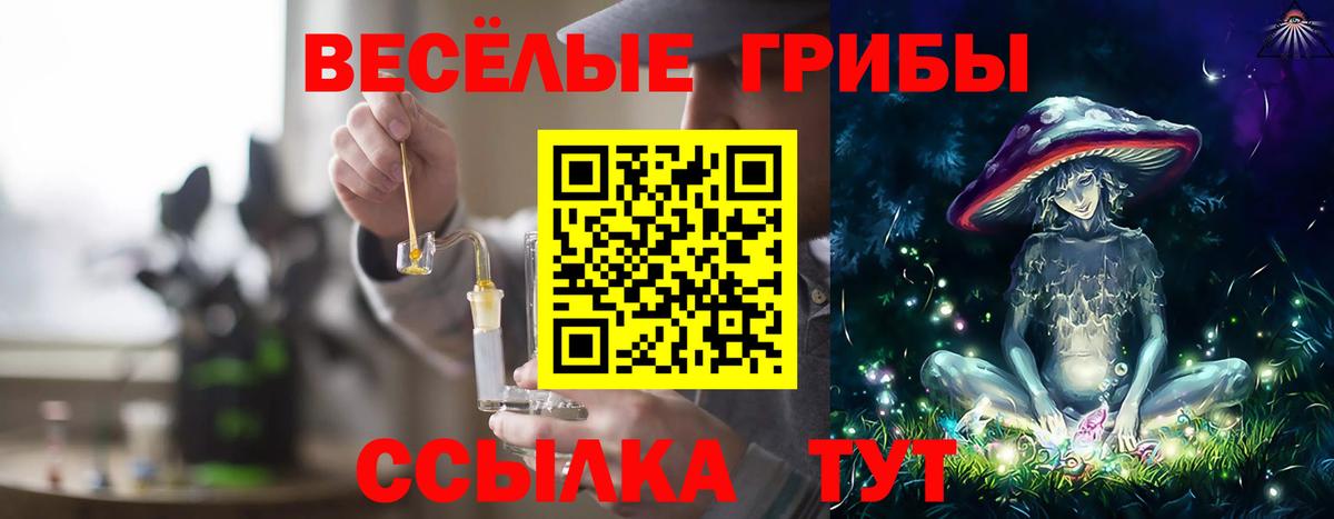 Псилоцибиновые грибы ЛСД Избербаш